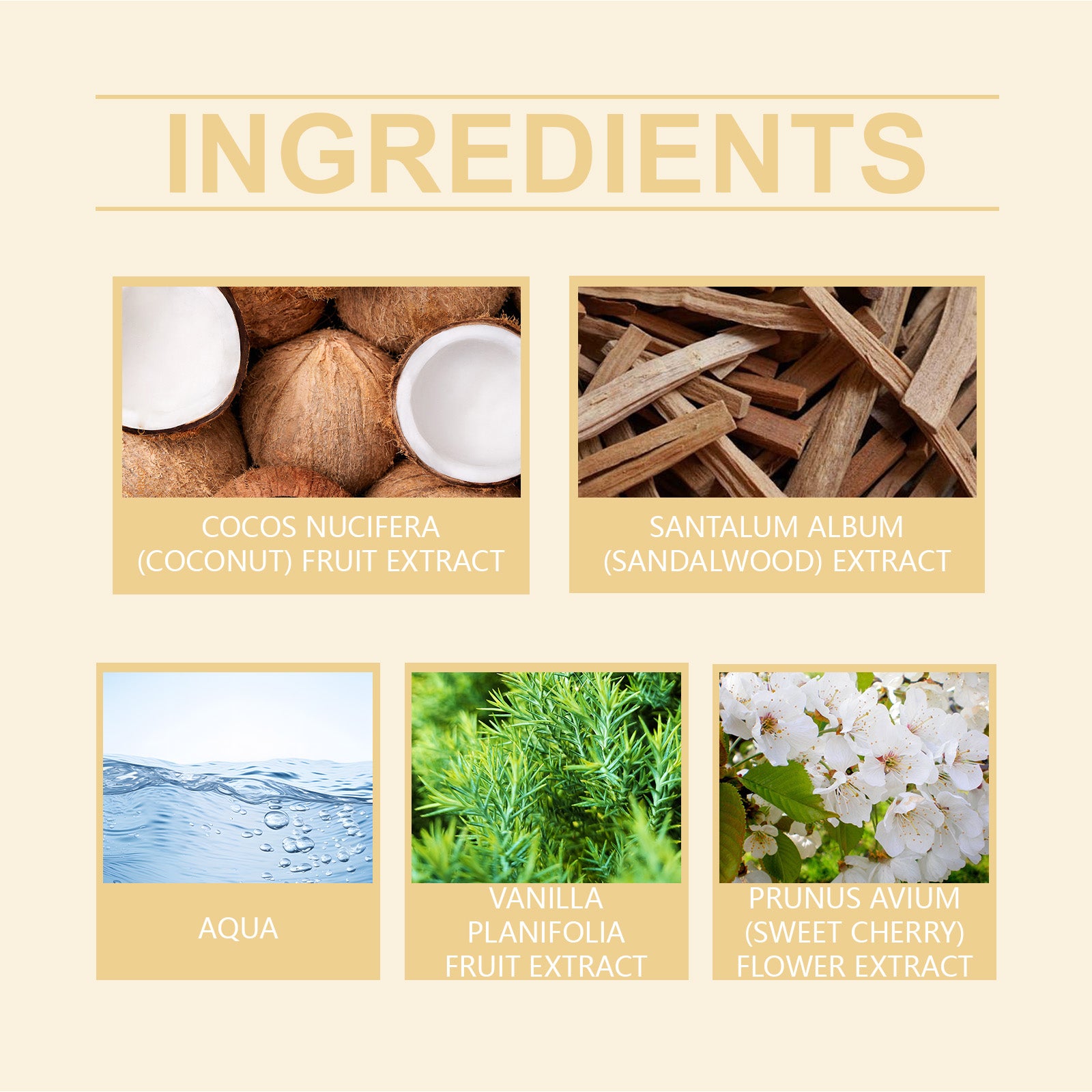 Roxelis Vanilla Coconut Fragrance Spray Long Lasting Fragrance Refreshing Body Spray Floral Fruit Fragrance Refreshing Body Fragrance - SMSB 66