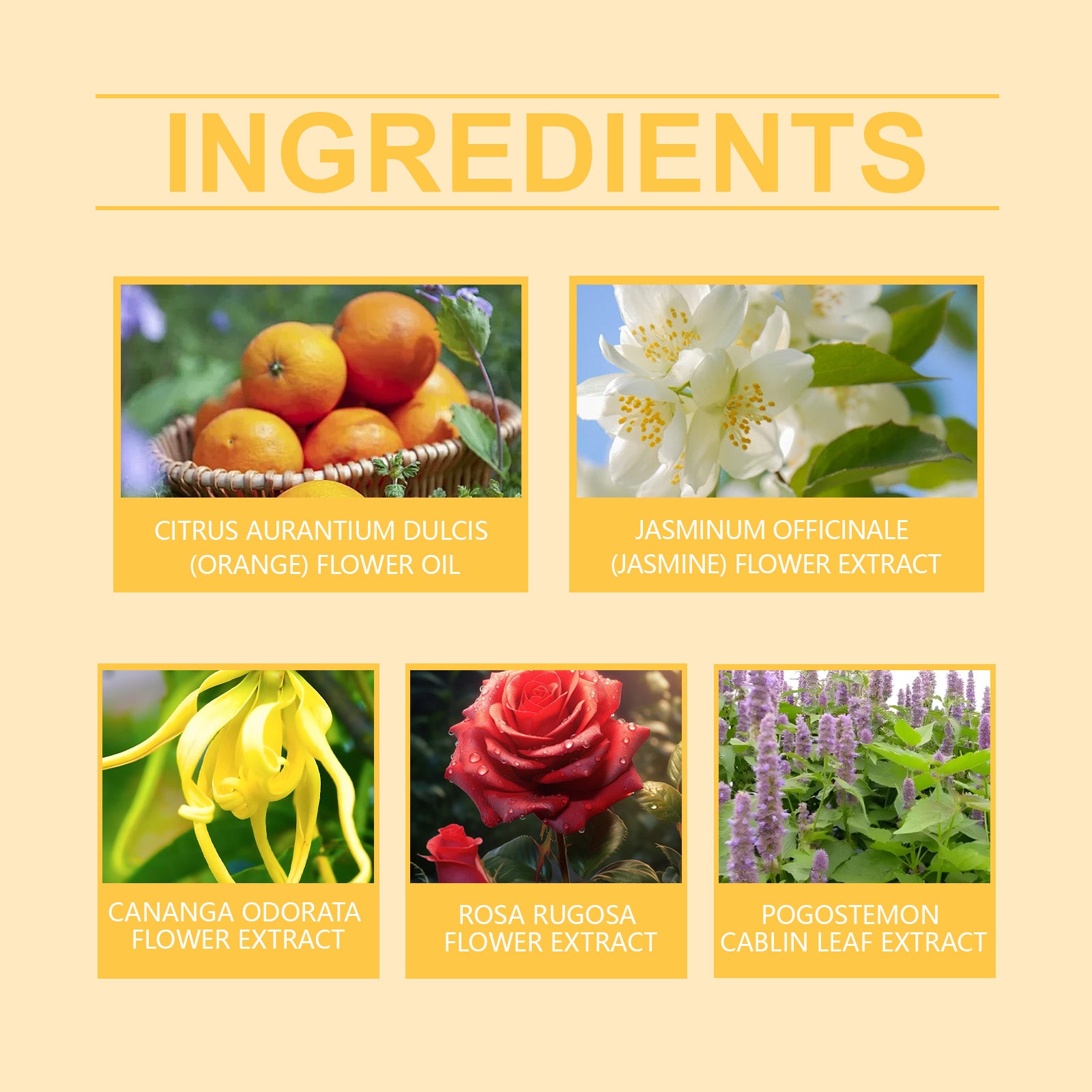 Femmebot Pherowomen Perfume, Light Elegant Exudes Fresh Niche Lovers Dating Portable Charm Perfume - SMSB 66