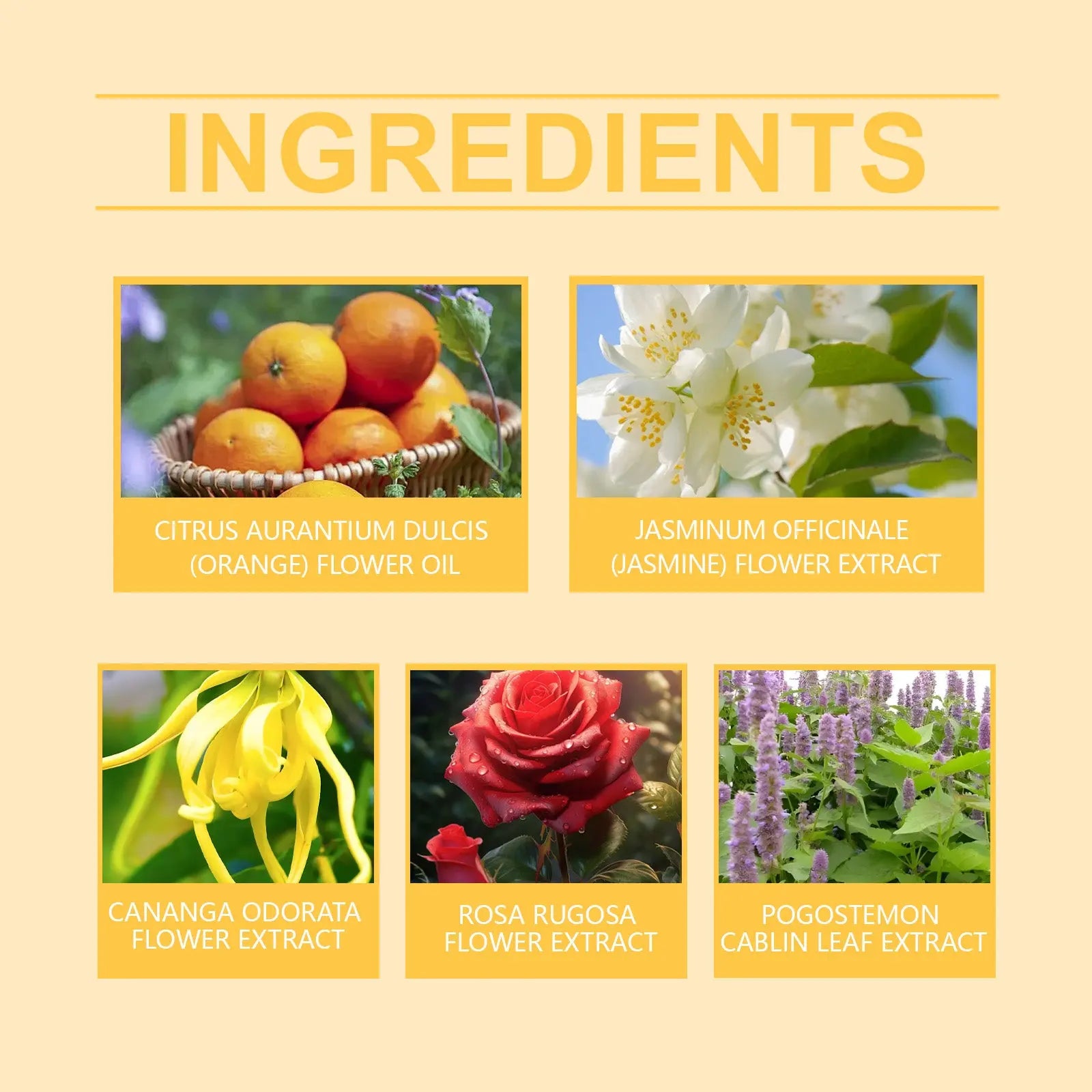 Femmebot Pherowomen Perfume, Light Elegant Exudes Fresh Niche Lovers Dating Portable Charm Perfume - SMSB 66