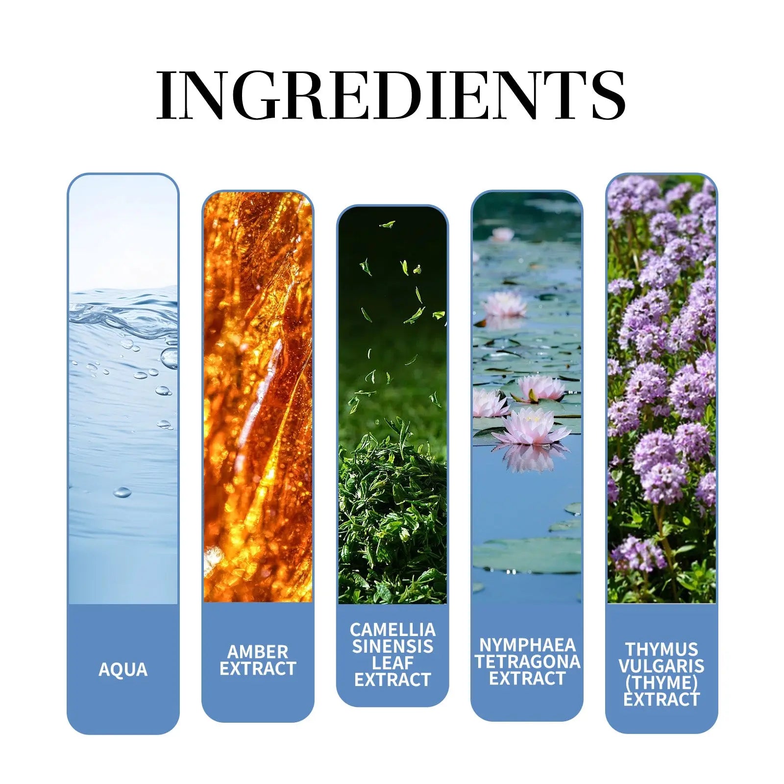 Magnet Charming Men Perfume, Tea Fragrance Natural Fresh Fragrance Release Charm Couple Dating Men Atmosphere Niche Perfume - SMSB 66