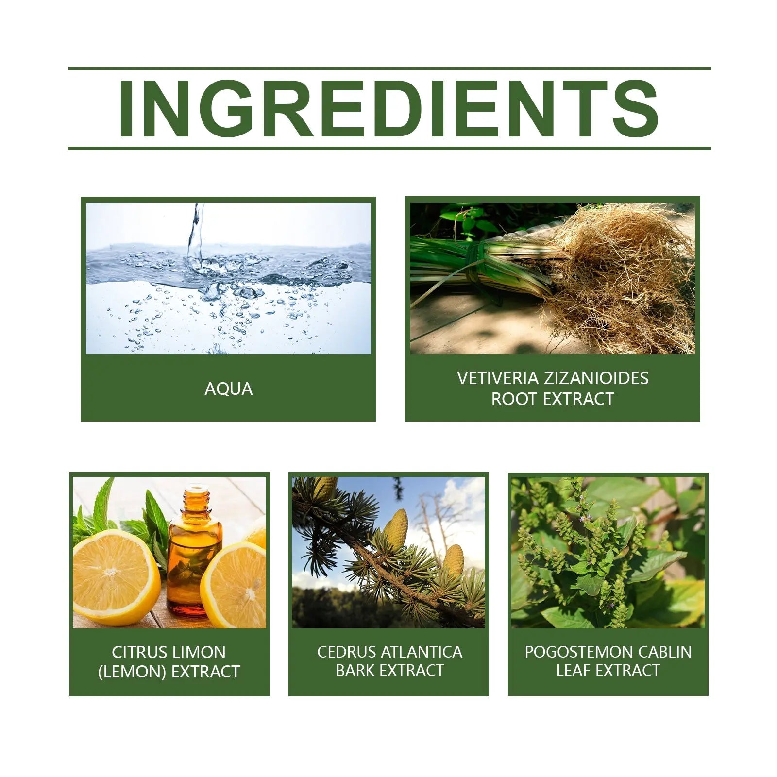 Roxelis Vetiver Fresh Perfume Exudes Charm Natural Fresh Elegant Fragrance Stay Fragrance Everyday Portable Fragrance Perfume - SMSB 66