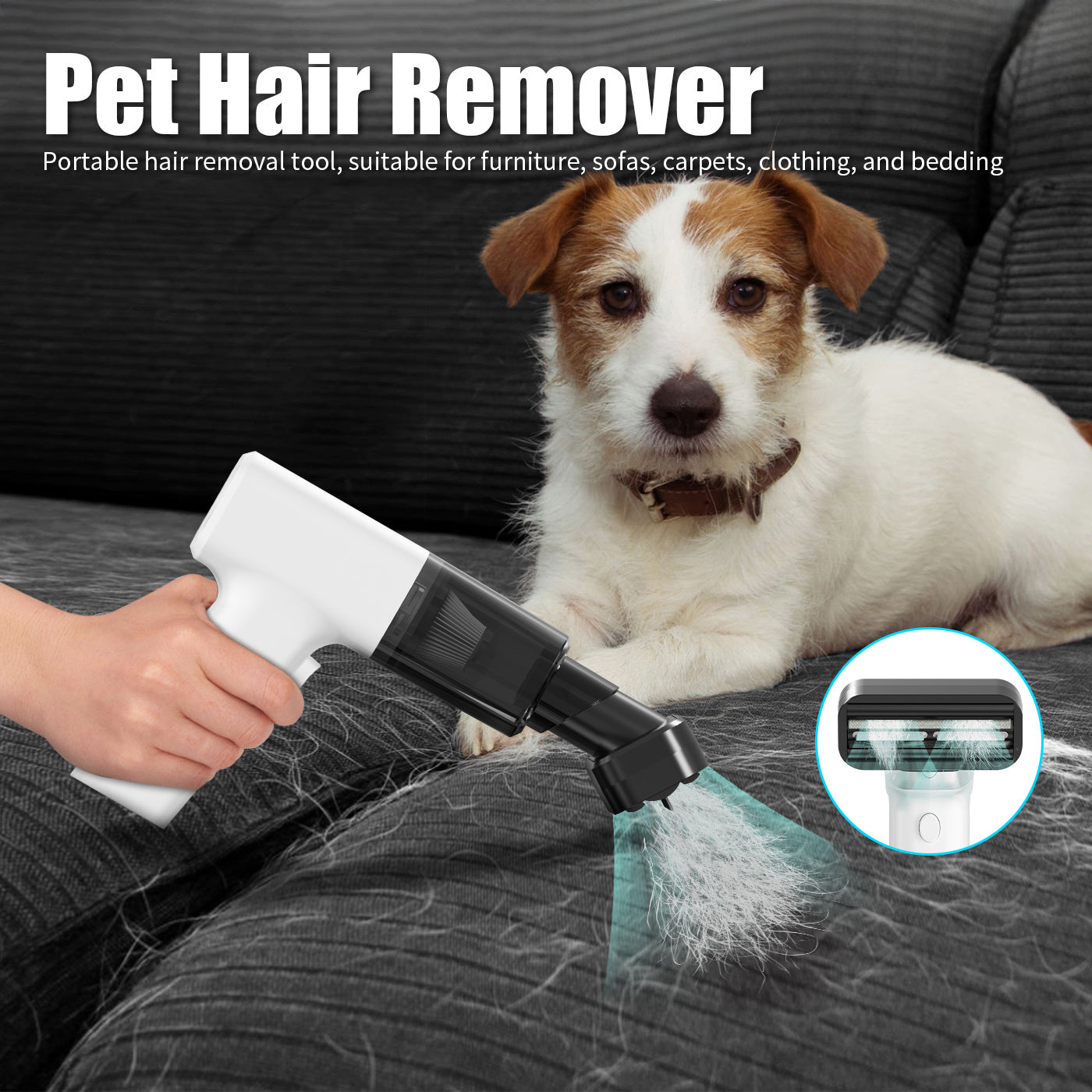 portable white dust collector vacuum cleaner removing pet hair from sofa with dog nearby